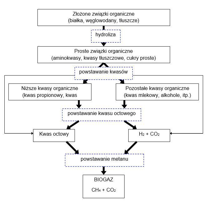 Rys. 1. Przebieg procesów zachodzących podczas fermentacji metanowej Źródło: opracowanie własne na podstawie: Gerardi M. H., 2003. The Microbiology of Anaerobic Digesters. John Wiley and Sons, New Jersey, USA.